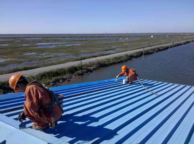 任城钢结构屋面漏水原因